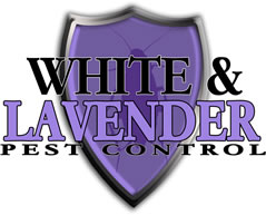 White & Lavender Pest Control Logo