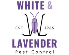 White & Lavender Pest Control